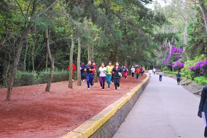 Bosque de Tlalpan Bosque de Tlalpan