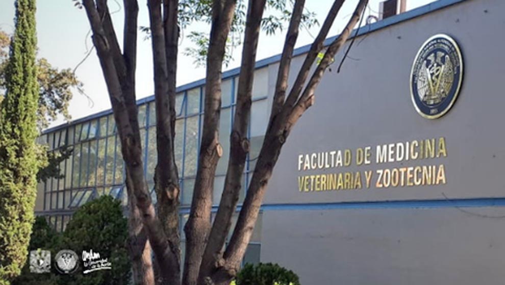 facultad de veterianaria facultad de veterinaria